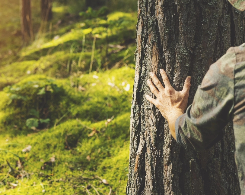 Sustainability raw materials Sustainability raw materials